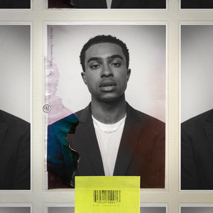 欧美插插插经典
