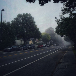 欧美插插插经典
