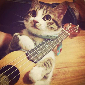 欧美插插插经典
